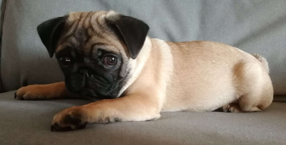 my name is boris winston
